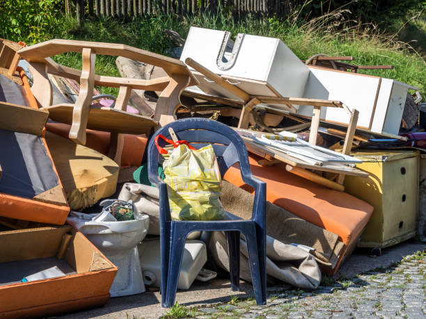 Best Yard Waste Removal  in Dunedin, FL